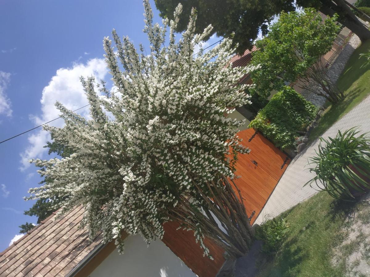 Cseresznyés Ház Lipót Extérieur photo